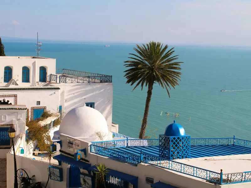Tunis, Tunisia, 2025